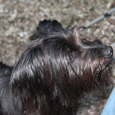 Urlaub im Allgäu (15)